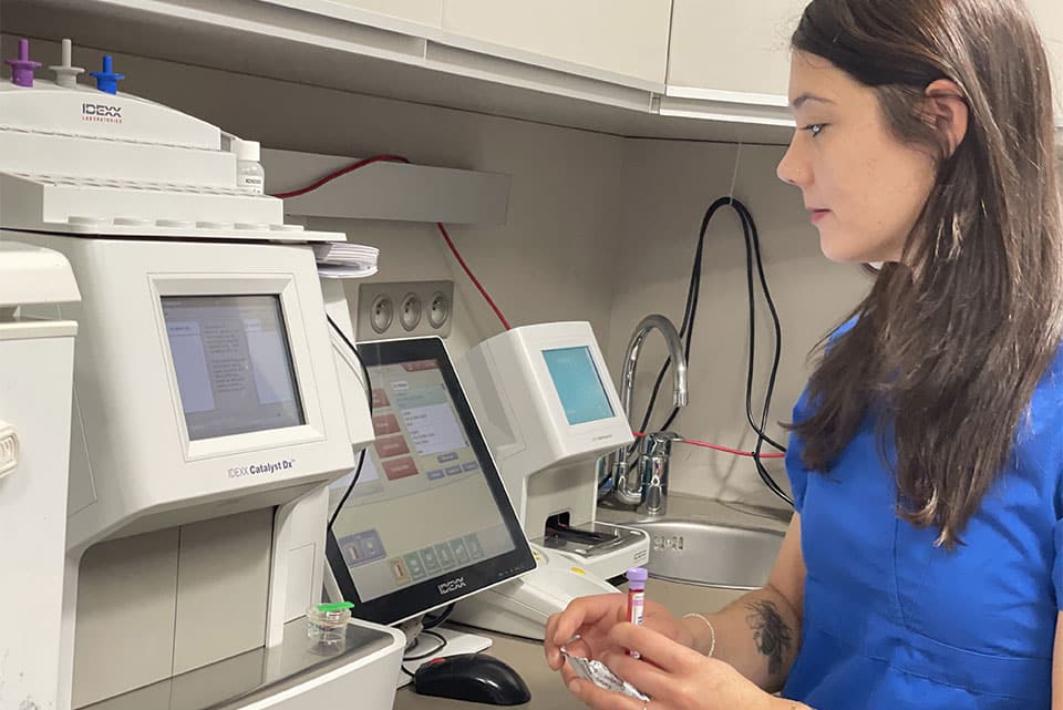 Analyses-veterinaire-7iles