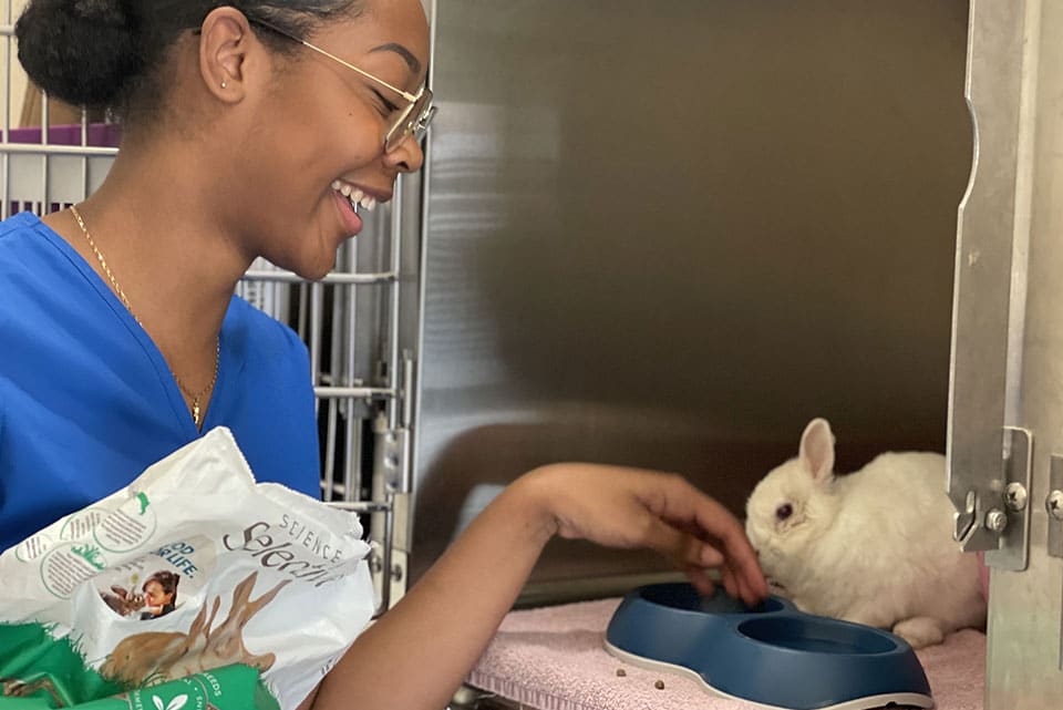 NACs-veterinaire-7ile