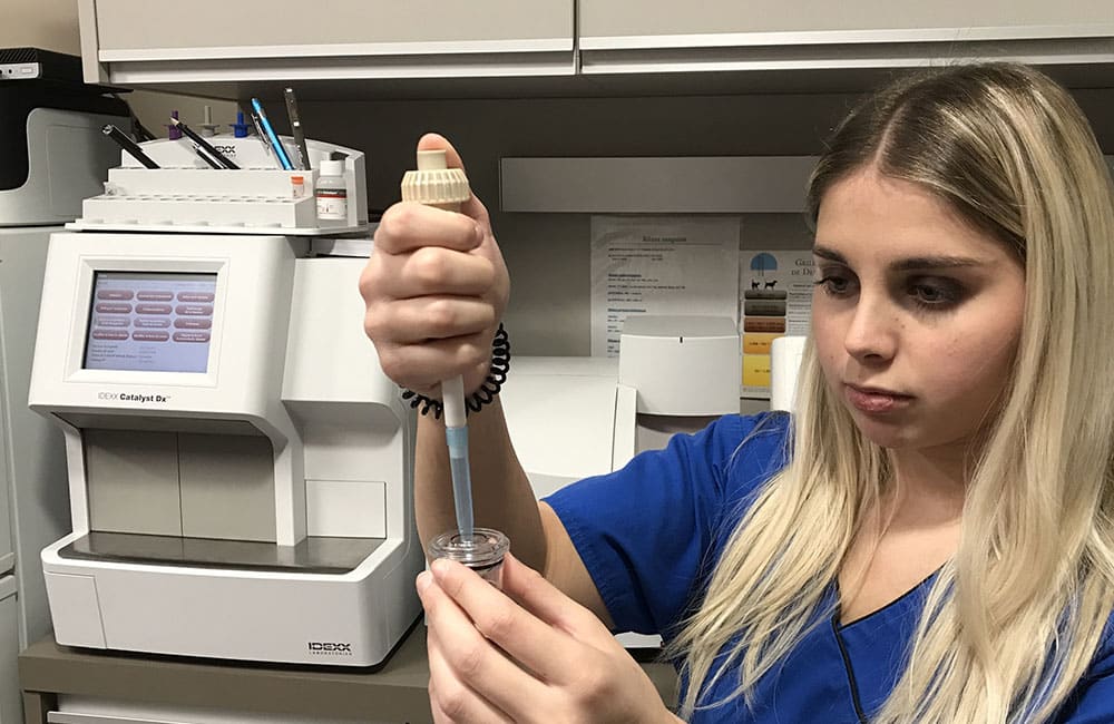 analyses-veterinaire-7iles_0000_labo 2